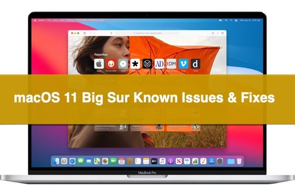 macOS Big Sur problem