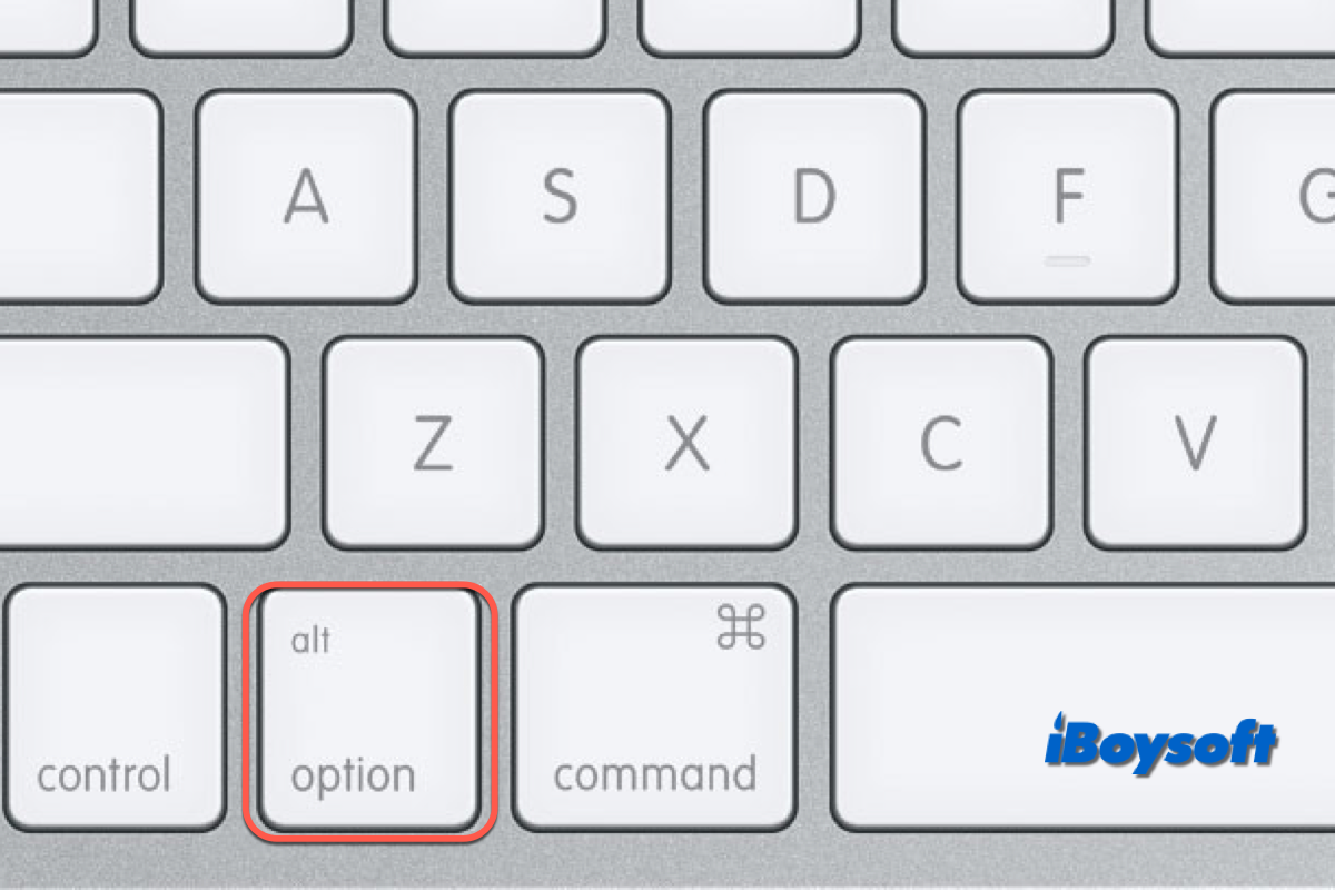 mac option key not working
