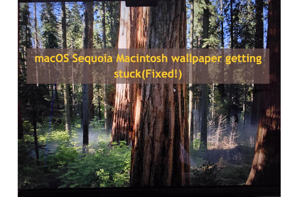 macOS Sequoia Macintosh wallpaper is getting stuck