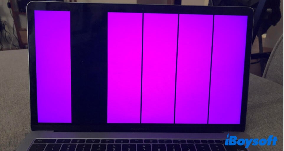 graphic glitches on screen