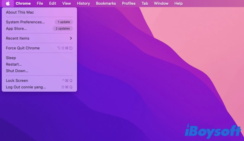 Apple menu on MacBook Air and MacBook Pro