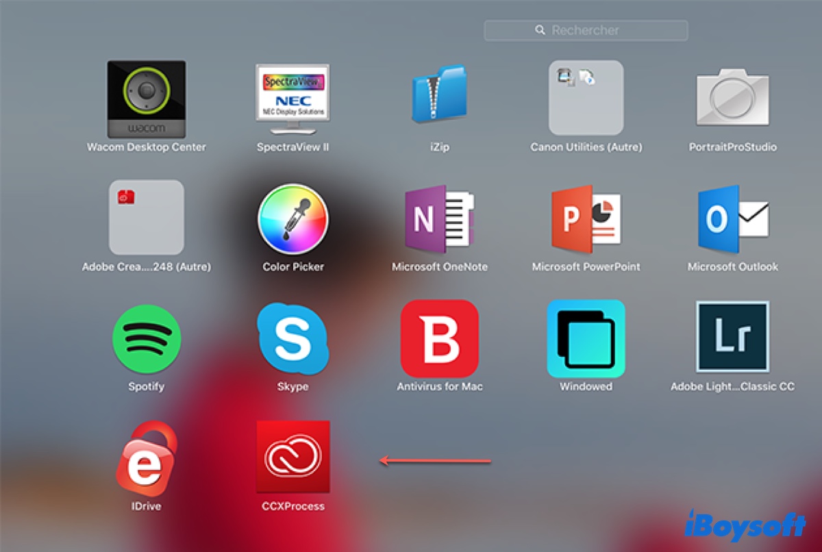 CCXProcess on Mac