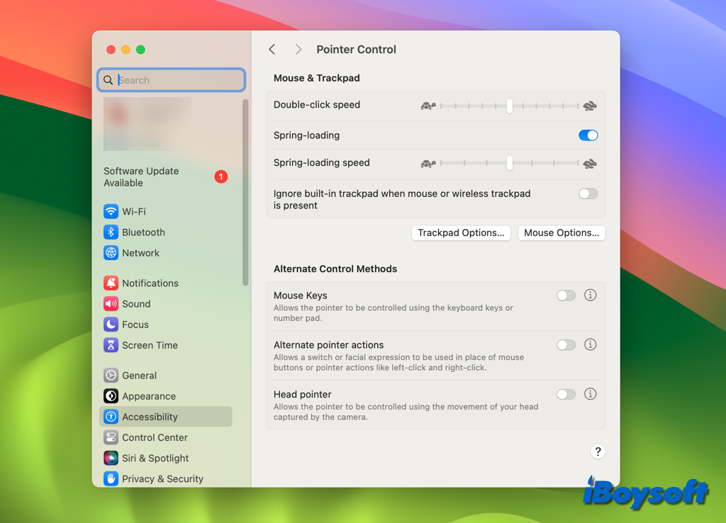 accessibility pointer control