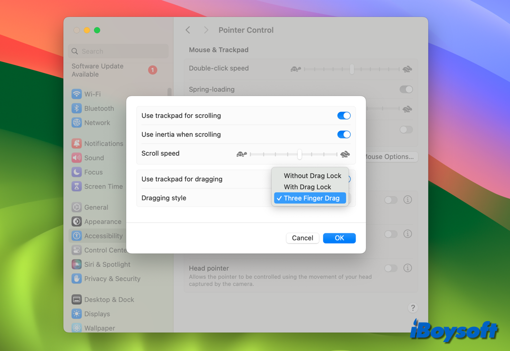trackpad options