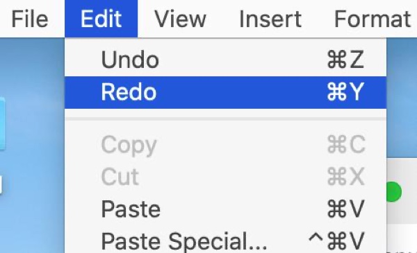 undo Command Z on Mac
