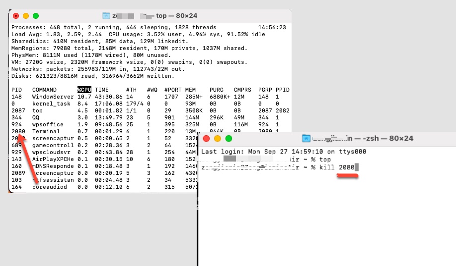 force quit from Terminal