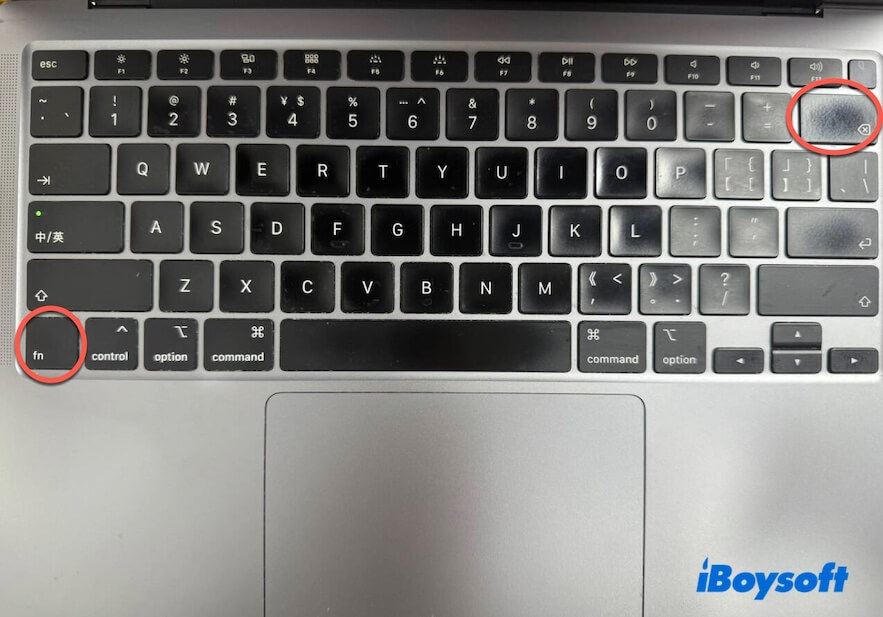 Mac Forward Delete