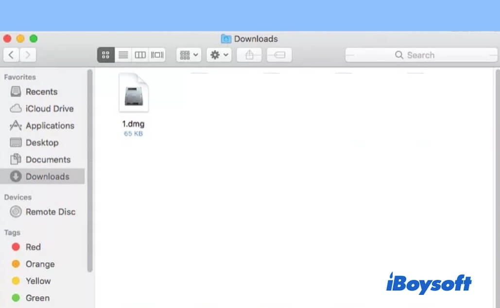 The DMG file shows up in Finder