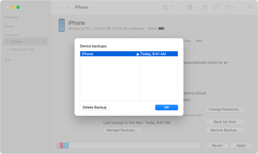 check encrypted backup