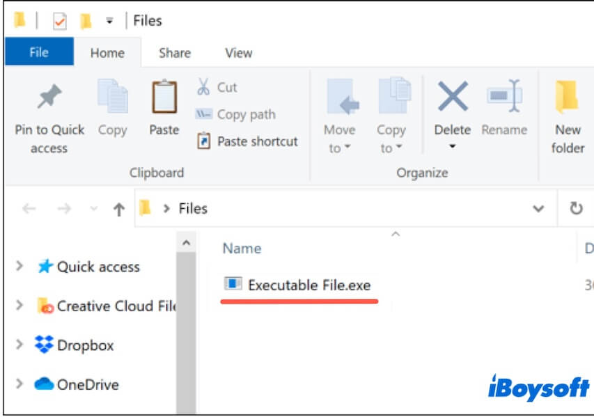 exe file