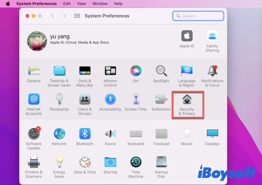 open Security and Privacy in System Preferences on Mac