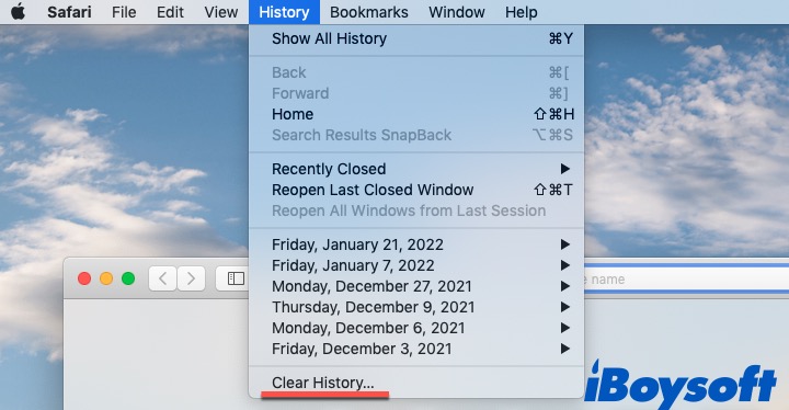 Safari cookies on Mac