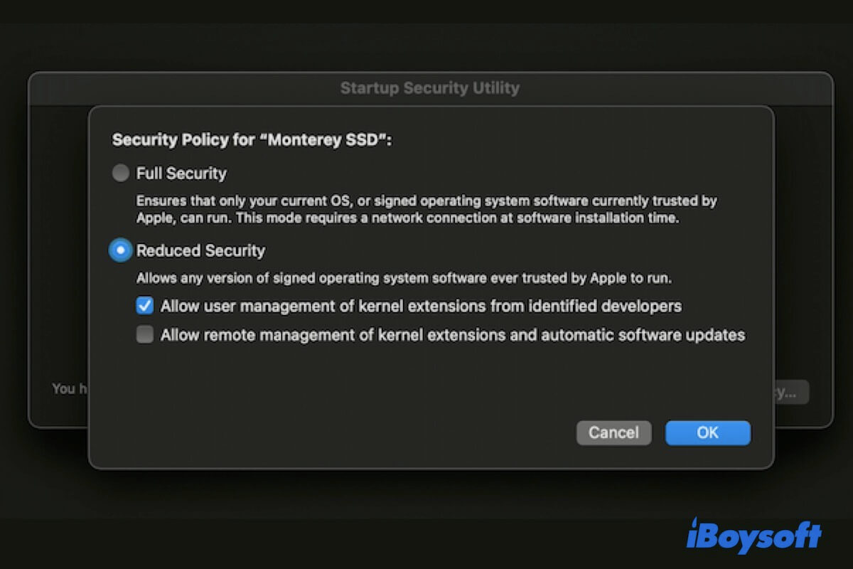 what are kernel extensions on Mac