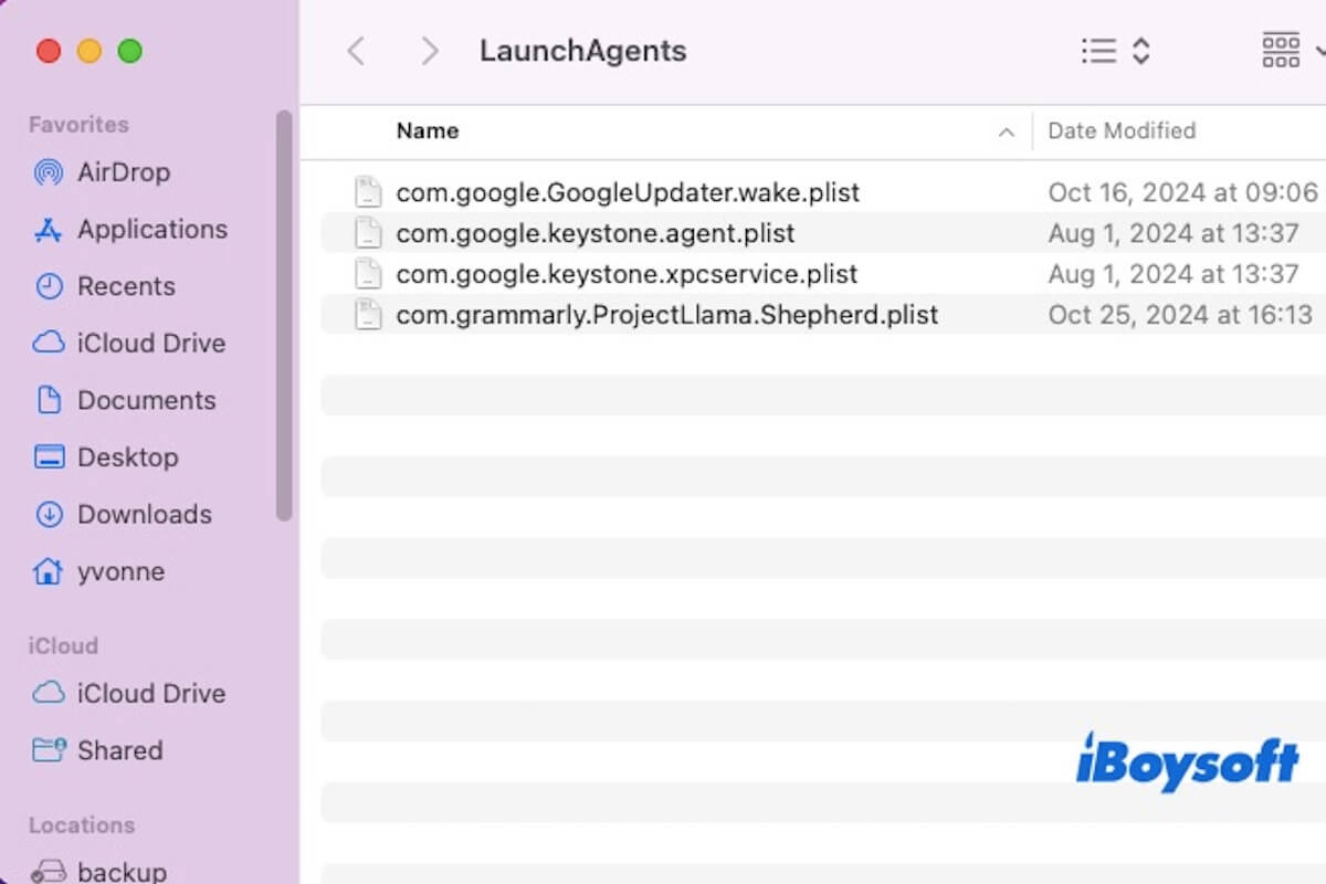 summary-library-launchagents