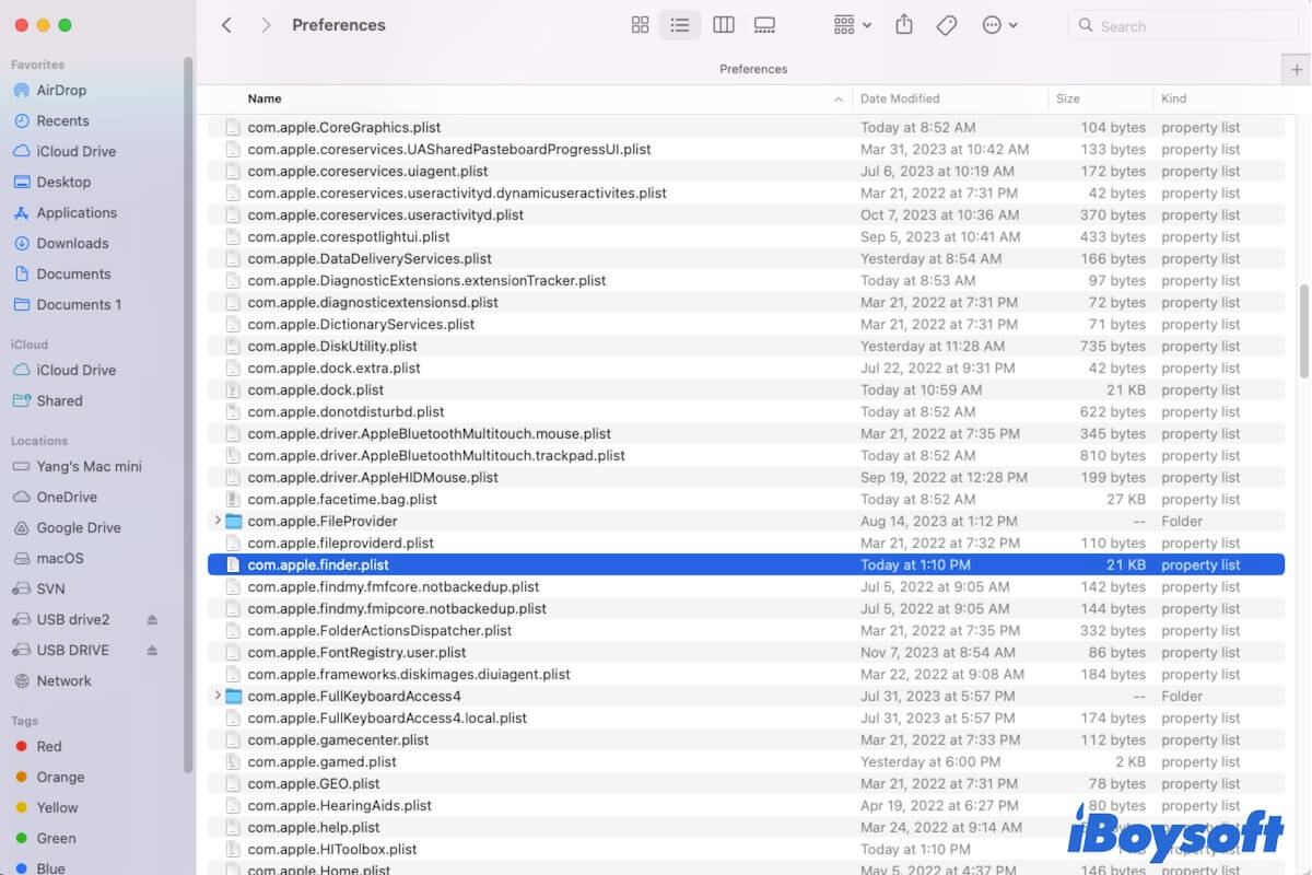 Library Preferences folder on Mac