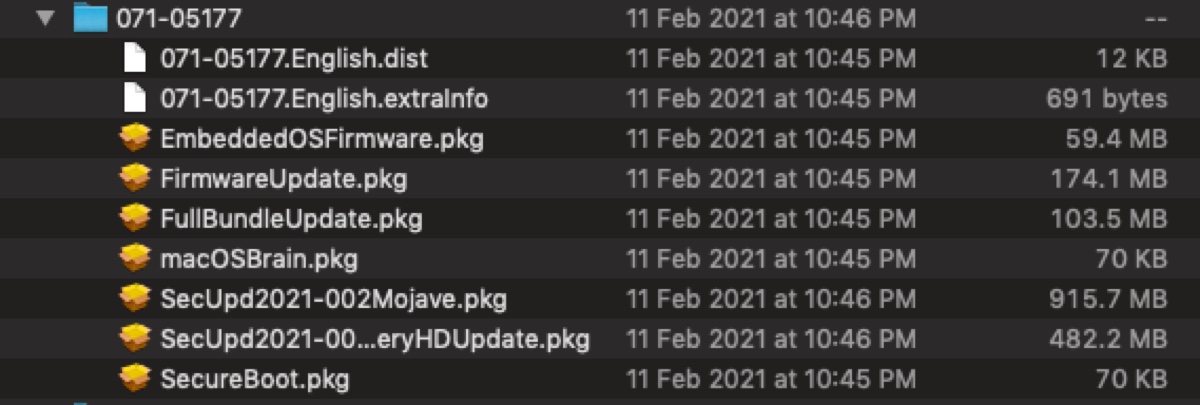 What does the Library Updates folder contain