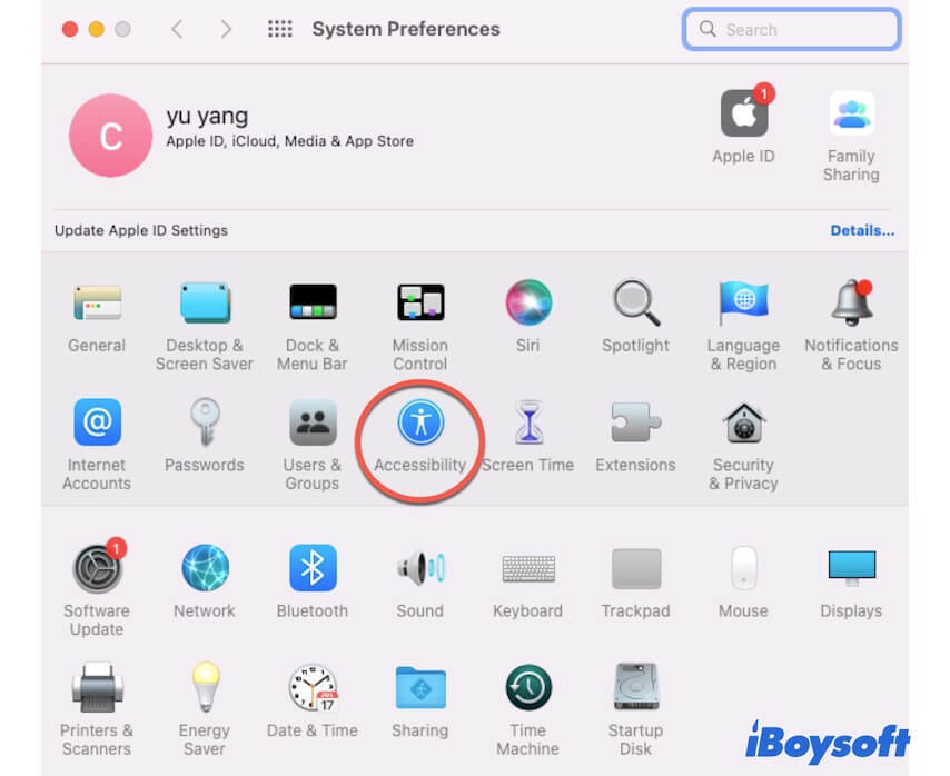 open Accessibility in System Preferences