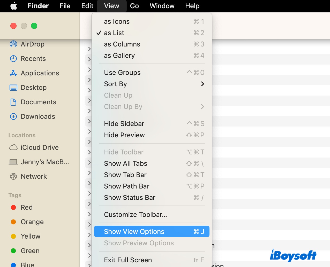 Show View Options on Mac