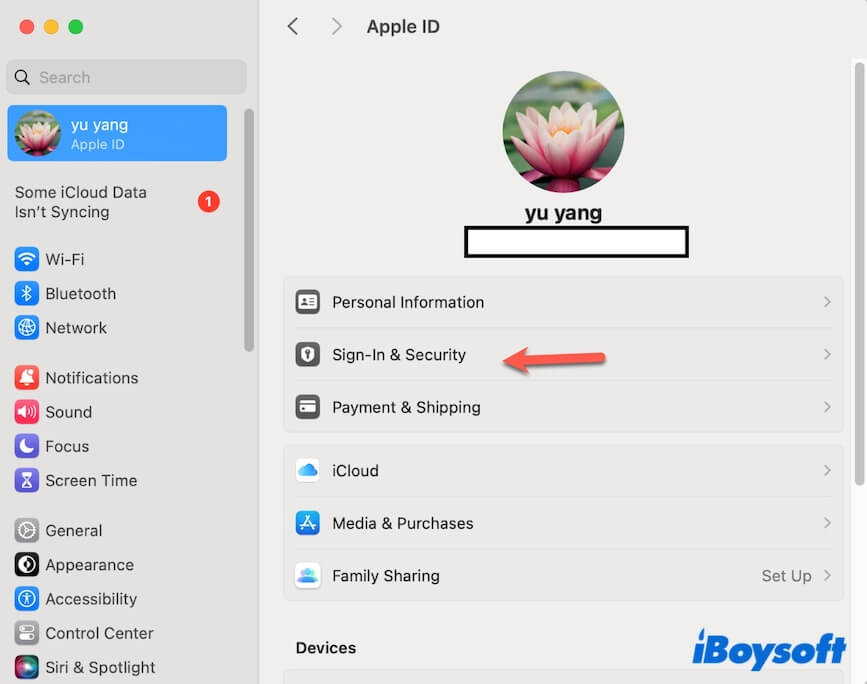 Apple ID Security Settings