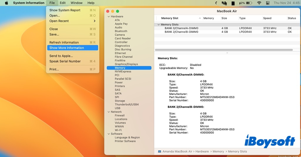 file menu of the system report