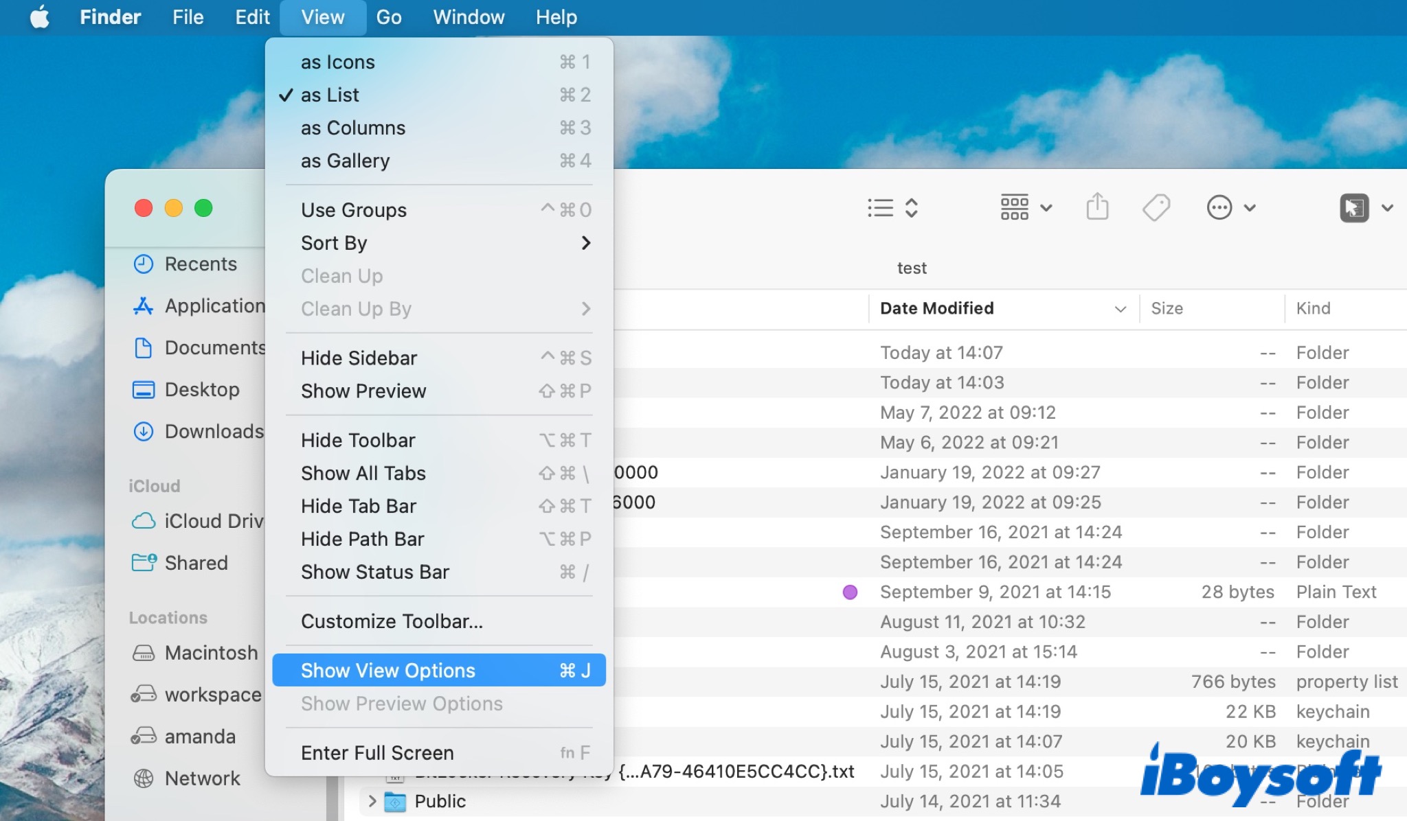 show view options
