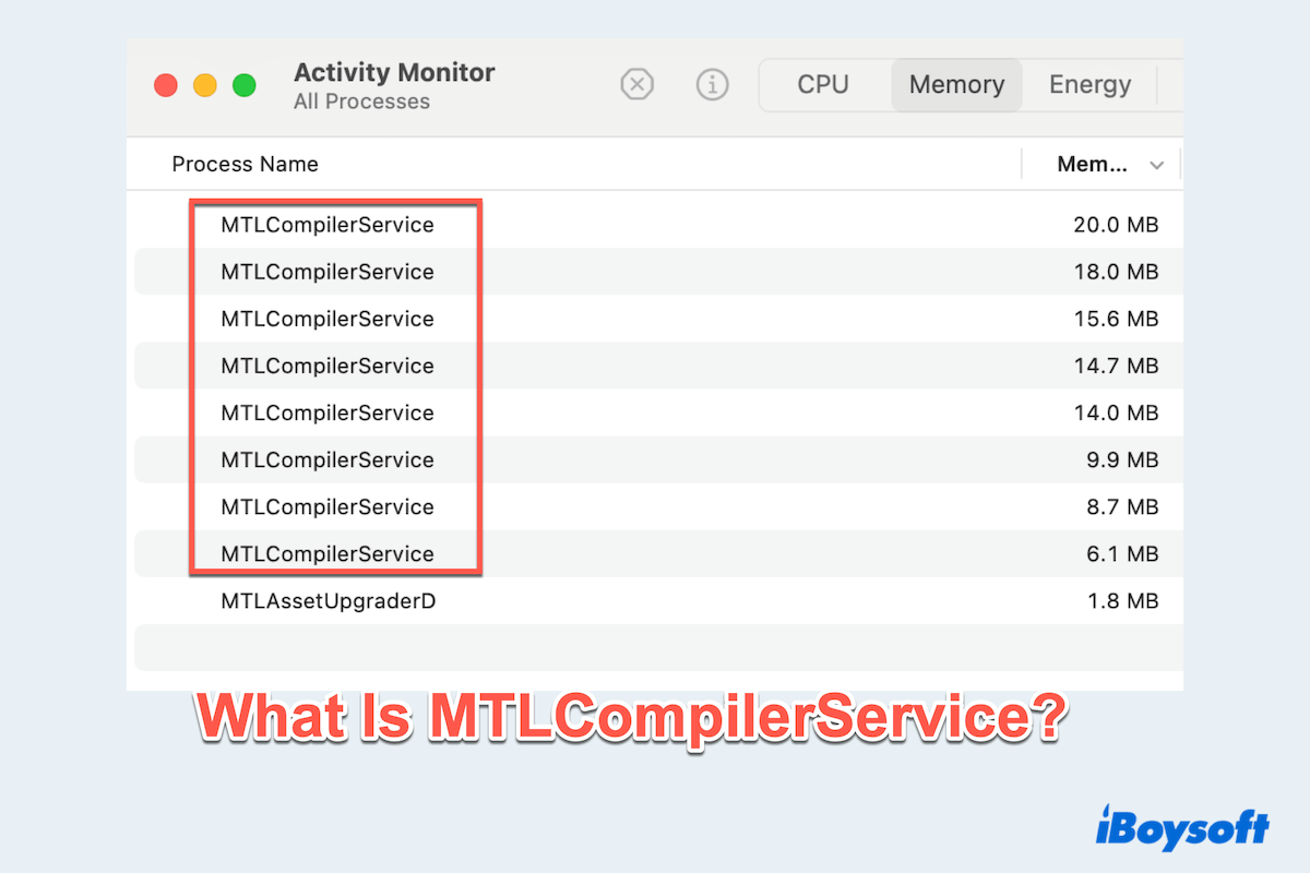 what is MTLCompilerService