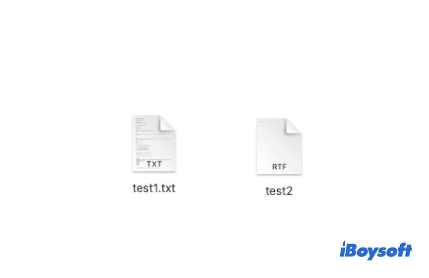 plain text vs rich text