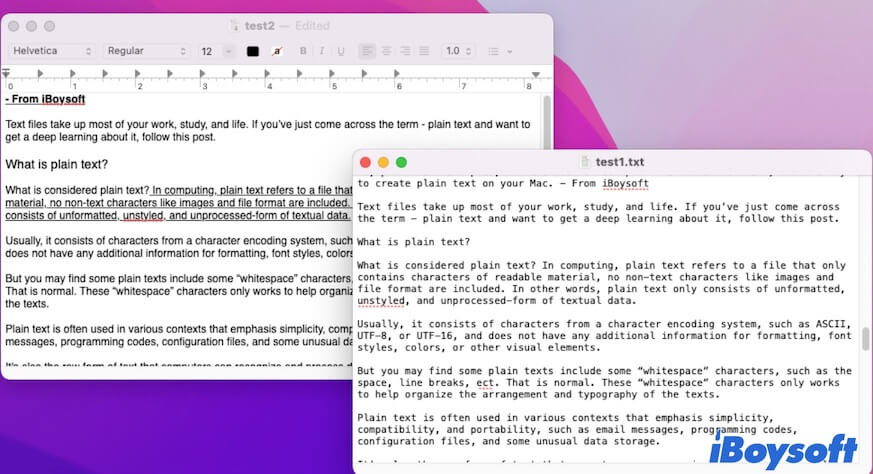 plain text vs rich text