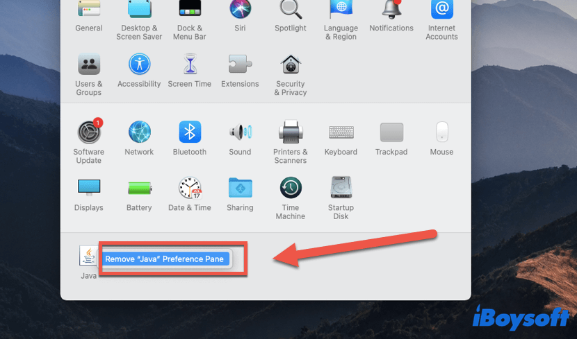 remove Preference Pane from Mac