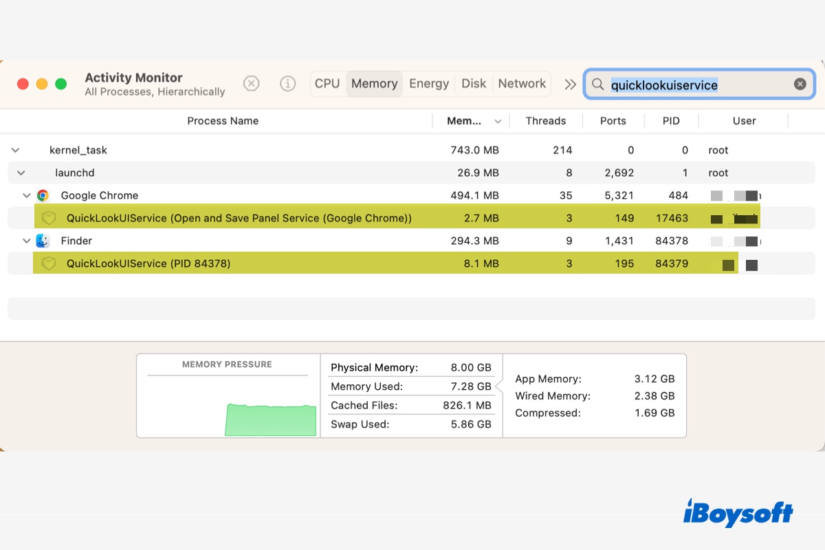 QuickLookUIService on Mac