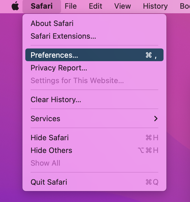Safari settings