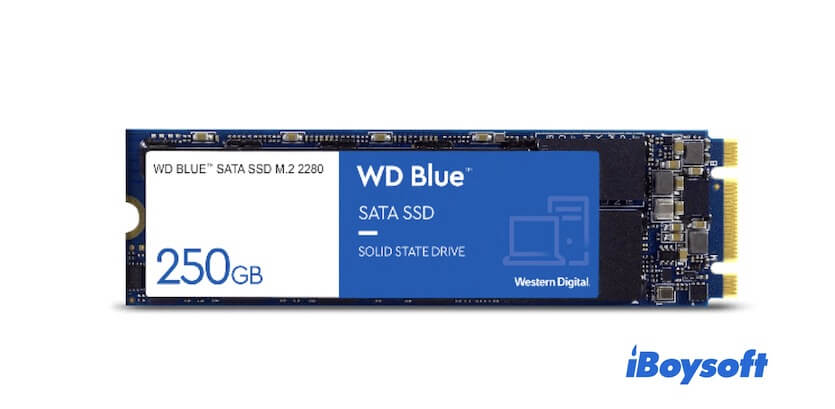 M2 SSD