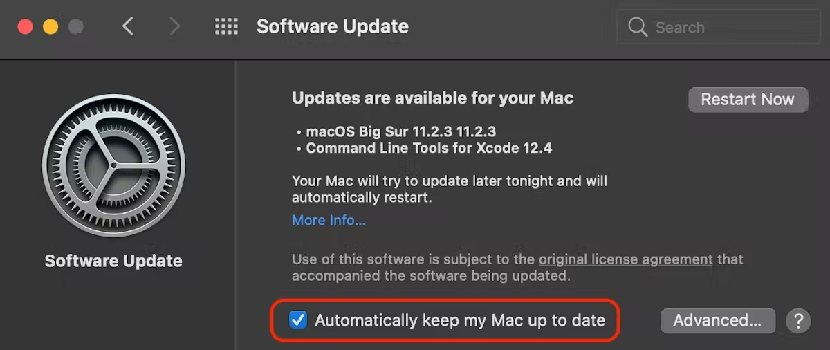 Disable automatic updates in macOS Monterey or earlier