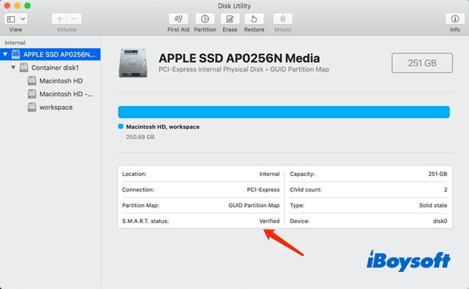 check SSD wear level Mac