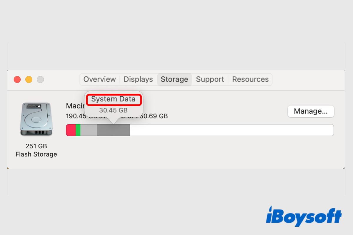 system data on Mac