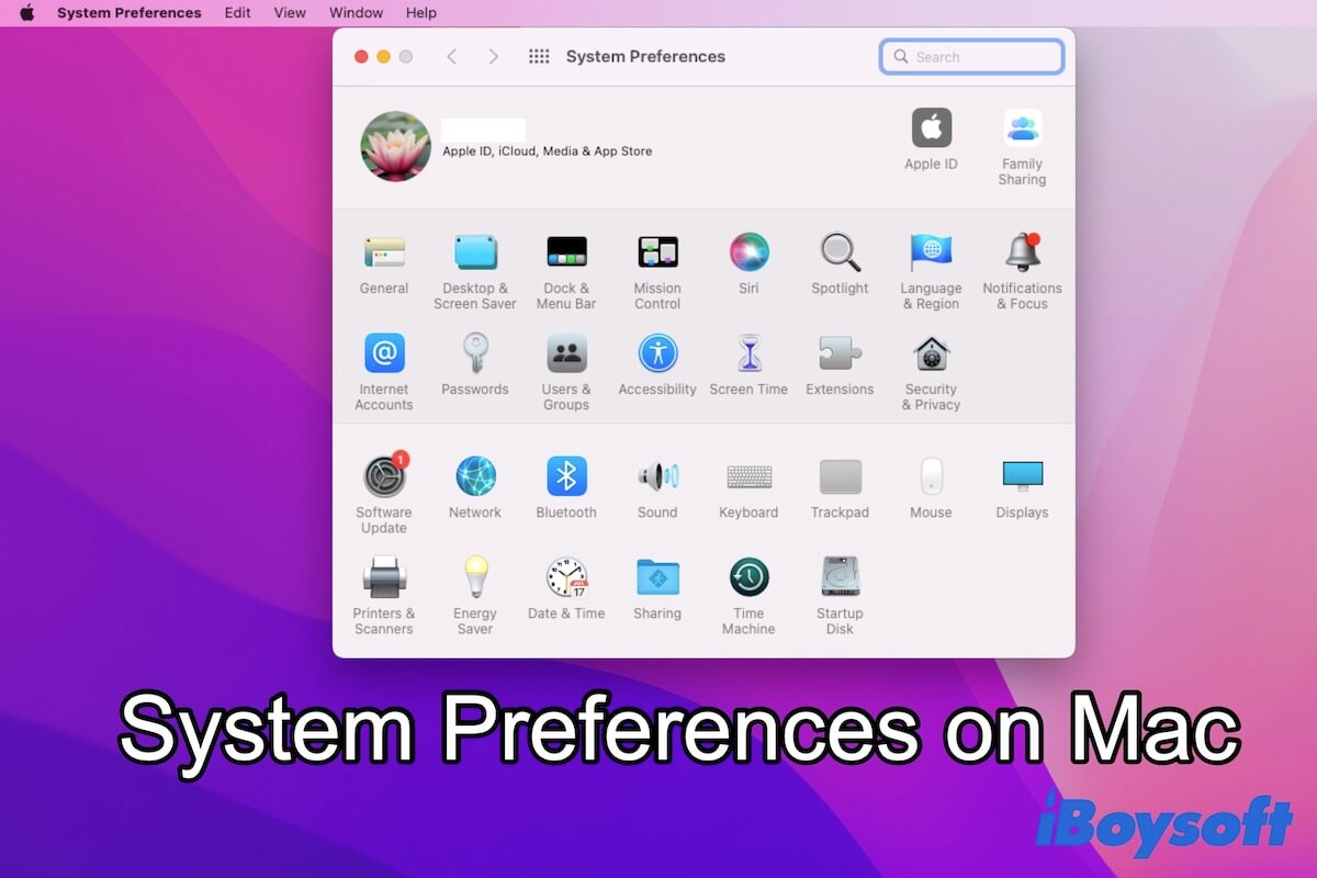System Preferences on Mac