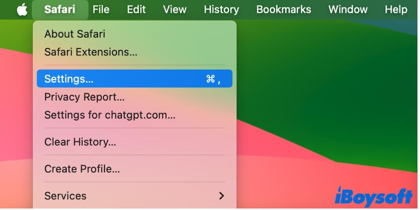 open Safari settings