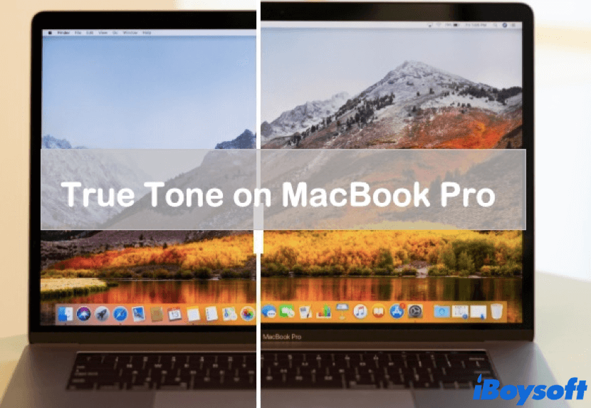 what is True Tone