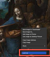 Use Visual Look Up on Safari